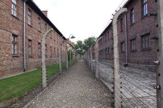 Auschwitz barracks fence